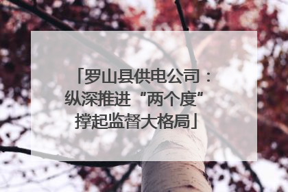 罗山县供电公司：纵深推进“两个度” 撑起监督大格局